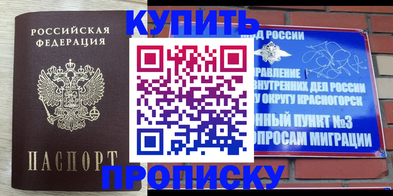 прописка гарантия в Красноярске